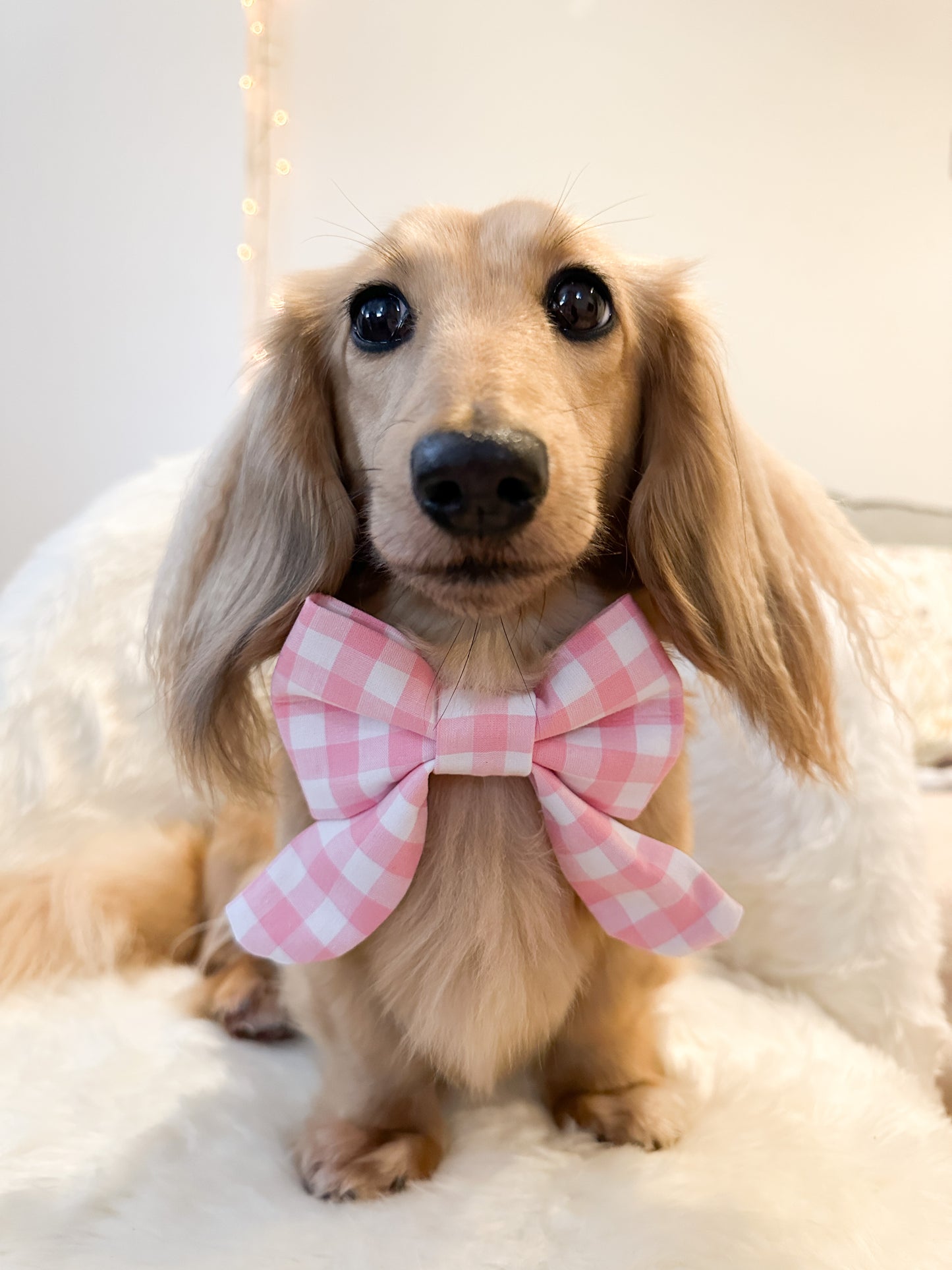 Elastic Backing Dog Sailor Bow - Pink Gingham