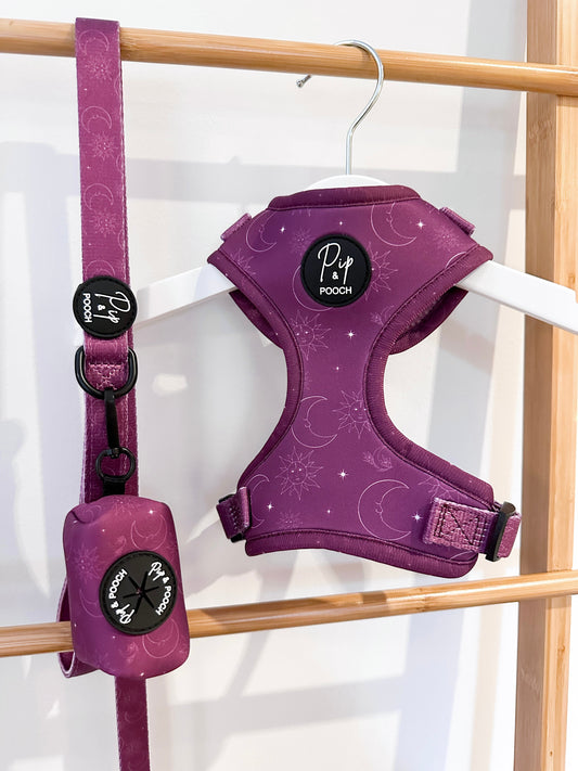 Purple Celestial Dog Harness & Lead Set