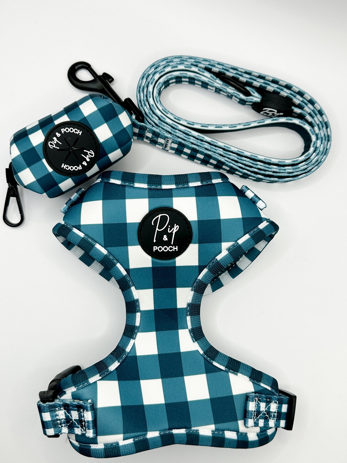 Teal Dog Harness Set